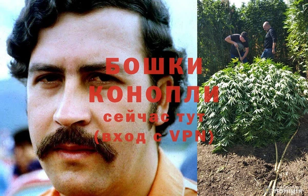 шишки Алексин