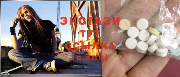 PSILOCYBIN Алзамай