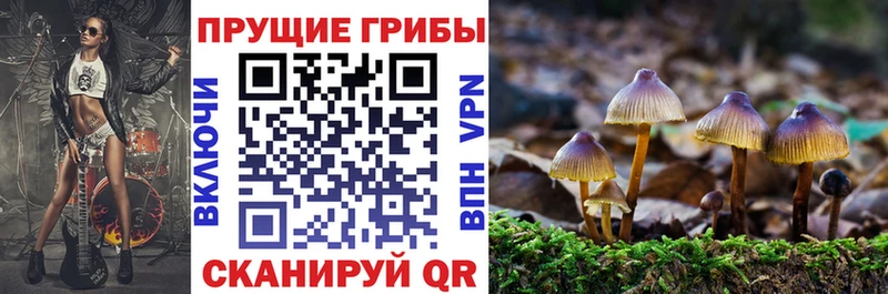 OMG сайт  Приморск  Галлюциногенные грибы Magic Shrooms 