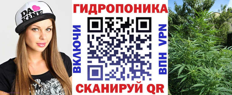 Бошки Шишки White Widow купить наркотик Приморск